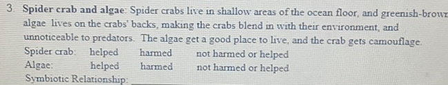 Spider crab and algae: Spider crabs live in shallow areas of the ocean floor, and greenish-brow 
algae lives on the crabs' backs, making the crabs blend in with their environment, and 
unnoticeable to predators. The algae get a good place to live, and the crab gets camouflage. 
Spider crab: helped harmed not harmed or helped 
Algae: helped harmed not harmed or helped 
Symbiotic Relationship: