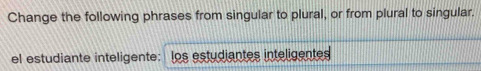 Change the following phrases from singular to plural, or from plural to singular. 
el estudiante inteligente: los estudiantes inteligentes