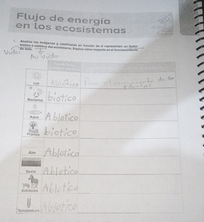 Flujo de energía 
en los ecosistemas 
1. Analiza las imágenes y clasifícalas en función de si representan un factor 
de este. biótico o abiótico del ecosistema. Explica cómo impacta en el funcionamiento