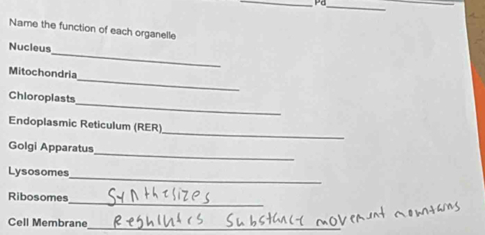 Pd 
_ 
Name the function of each organelle 
_ 
Nucleus 
_ 
Mitochondria 
_ 
Chioroplasts 
_ 
Endoplasmic Reticulum (RER) 
_ 
Golgi Apparatus 
_ 
Lysosomes 
_ 
Ribosomes 
_ 
Cell Membrane