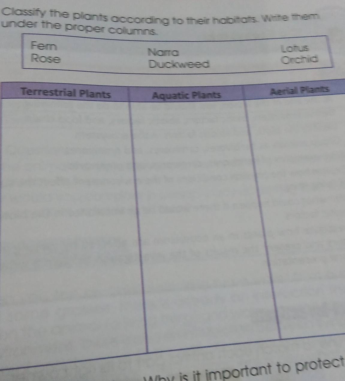 Classify the plants according to their habitats. Write them 
under the proper columns. 
Fern Lotus 
Narra 
Rose Orchid 
Duckweed 
s 
Why is it important to proct