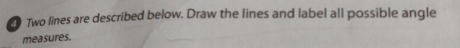 Two lines are described below. Draw the lines and label all possible angle 
measures.