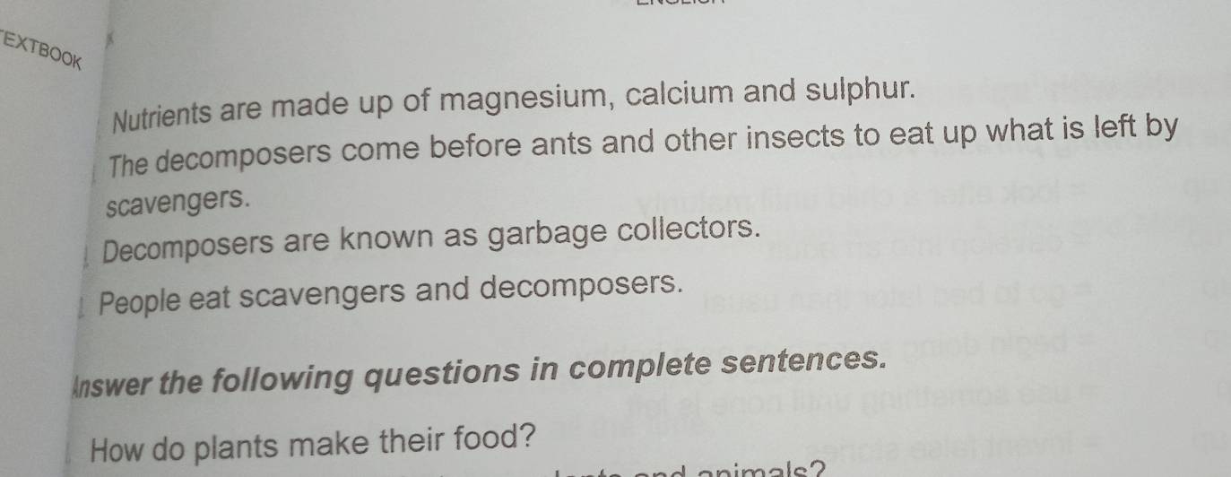 EXTBOOK 
Nutrients are made up of magnesium, calcium and sulphur. 
The decomposers come before ants and other insects to eat up what is left by 
scavengers. 
Decomposers are known as garbage collectors. 
People eat scavengers and decomposers. 
Inswer the following questions in complete sentences. 
How do plants make their food?