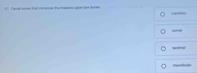 97 Facial bones that compose the massive upper jaw bones
maxillary
vomer
lacrimal
mandibular