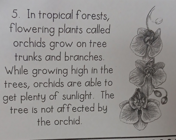 In tropical forests, 
flowering plants called 
orchids grow on tree 
trunks and branches. 
While growing high in the 
trees, orchids are able to 
get plenty of sunlight. The 
tree is not affected by 
the orchid.