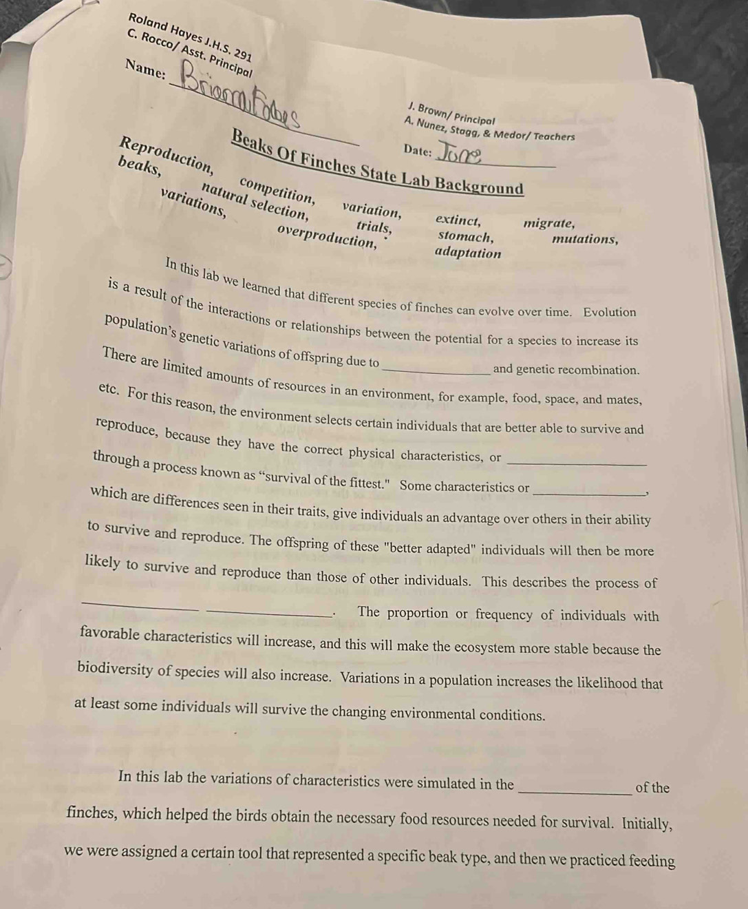 Roland Hayes J.H.S. 291 
C. Rocco/ Asst. Principa 
_ 
Name: 
J. Brown/ Principal 
A. Nunez, Stagg, & Medor/ Teachers 
Date: 
Beaks Of Finches State Lab Background 
Reproduction, competition, variation _extinct, migrate, 
beaks, natural selection, 
variations, 
trials, 
overproduction, 
stomach, mutations, 
adaptation 
In this lab we learned that different species of finches can evolve over time. Evolution 
is a result of the interactions or relationships between the potential for a species to increase its 
population’s genetic variations of offspring due to 
and genetic recombination. 
There are limited amounts of resources in an environment, for example, food, space, and mates. 
etc. For this reason, the environment selects certain individuals that are better able to survive and 
reproduce, because they have the correct physical characteristics, or 
through a process known as “survival of the fittest." Some characteristics or 
, 
which are differences seen in their traits, give individuals an advantage over others in their ability 
to survive and reproduce. The offspring of these "better adapted" individuals will then be more 
likely to survive and reproduce than those of other individuals. This describes the process of 
_ 
_. The proportion or frequency of individuals with 
favorable characteristics will increase, and this will make the ecosystem more stable because the 
biodiversity of species will also increase. Variations in a population increases the likelihood that 
at least some individuals will survive the changing environmental conditions. 
In this lab the variations of characteristics were simulated in the 
_of the 
finches, which helped the birds obtain the necessary food resources needed for survival. Initially, 
we were assigned a certain tool that represented a specific beak type, and then we practiced feeding