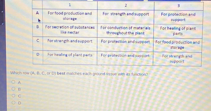 Whic function?
A
B
C
D