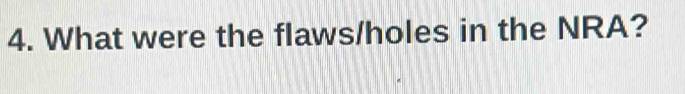 What were the flaws/holes in the NRA?