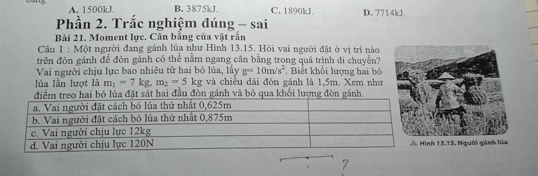 A. 1500kJ. B. 3875kJ. C. 1890kJ. D. 7714kJ.
Phần 2. Trắc nghiệm đúng - sai
Bài 21. Moment lực. Cân bằng của vật rắn
Câu 1 : Một người đang gánh lúa như Hình 13.15. Hỏi vai người đặt ở vị trí nào
trên đòn gánh để đòn gánh có thể nằm ngang cân bằng trong quá trình di chuyền?
Vai người chịu lực bao nhiêu từ hai bó lúa, lấy g=10m/s^2. Biết khối lượng hai bó
lúa lần lượt là m_1=7kg, m_2=5kg và chiều dài đòn gánh là 1,5m. Xem như
điểm treo hai bó lúa đặt sát hai đầu đòn gánh và bỏ qua khối lượng đòn gánh.
13.15. Người gánh lúa