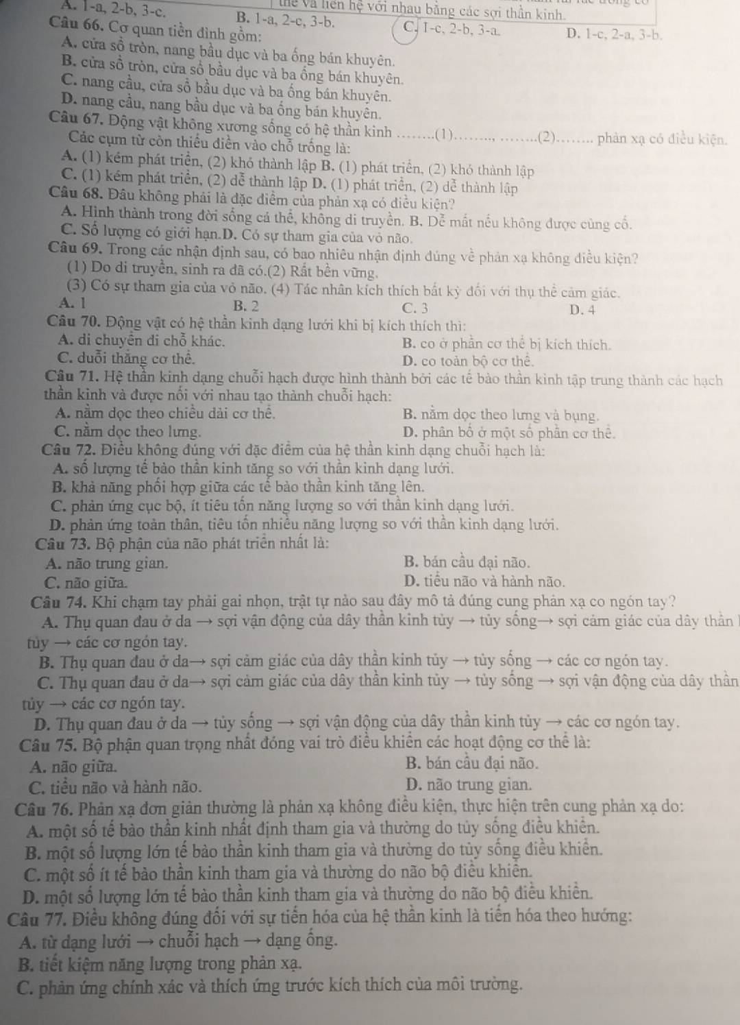 Vhể Và hến hệ với nhau bằng các sợi thần kinh.
A. 1-a, 2-b, 3-c, B. 1-a, 2-c, 3-b. C. 1-c, 2-b, 3-a.
Câu 66. Cơ quan tiền đình gồm: D. 1-c, 2-a, 3-b.
A. cửa sổ tròn, nang bầu dục và ba ống bán khuyên.
B. cửa sồ tròn, cửa số bầu dục và ba ồng bán khuyên.
C. nang cầu, cửa số bầu dục và ba ống bán khuyên.
D. nang cầu, nang bầu dục và ba ống bán khuyên,
Câu 67. Động vật không xương sống có hệ thần kinh .…..(1)_
_.(2).….. phản xạ có điều kiện.
Các cụm từ còn thiếu điền vào chỗ trống là:
A. (1) kém phát triển, (2) khỏ thành lập B. (1) phát triển, (2) khỏ thành lập
C. (1) kém phát triển, (2) dễ thành lập D. (1) phát triển, (2) dể thành lập
Câu 68. Đâu không phải là đặc điểm của phản xạ có điều kiện?
A. Hình thành trong đời sống cá thể, không di truyền. B. Dễ mất nều không được cùng cổ.
C. Số lượng có giới hạn.D. Có sự tham gia của vỏ não.
Câu 69. Trong các nhận định sau, có bao nhiêu nhận định dúng về phản xạ không điều kiện?
(1) Do di truyền, sinh ra dã có.(2) Rất bền vững.
(3) Có sự tham gia của vỏ não. (4) Tác nhân kích thích bắt kỳ đối với thụ thể cảm giác.
A. l B. 2 C. 3 D. 4
Câu 70. Động vật có hệ thần kinh dạng lưới khi bị kích thích thì:
A. di chuyển đi chỗ khác. B. co ở phần cơ thể bị kích thích.
C. duỗi thắng cơ thể. D. co toàn bộ cơ thể
Câu 71. Hệ thần kinh dạng chuỗi hạch được hình thành bởi các tế bào thần kinh tập trung thành các hạch
thần kinh và được nổi với nhau tạo thành chuỗi hạch:
A. nằm dọc theo chiều dài cơ thể. B. nằm dọc theo lưng và bụng.
C. nằm dọc theo lưng. D. phân bố ở một số phần cơ thể.
Câu 72. Điều không đúng với đặc điểm của hệ thần kinh dạng chuỗi hạch là:
A. số lượng tế bào thần kinh tăng so với thần kinh dạng lưới.
B. khả năng phối hợp giữa các tế bào thần kinh tăng lên.
C. phản ứng cục bộ, ít tiêu tồn năng lượng so với thân kinh dạng lưới.
D. phản ứng toàn thân, tiêu tốn nhiều năng lượng so với thần kinh dạng lưới.
Câu 73. Bộ phận của não phát triển nhất là:
A. não trung gian. B. bán cầu đại não.
C. não giữa. D. tiểu não và hành não.
Câu 74. Khi chạm tay phải gai nhọn, trật tự nào sau đây mô tả đúng cung phản xạ co ngón tay?
A. Thụ quan đau ở da → sợi vận động của dây thần kinh tủy → tủy sống→ sợi cảm giác của dây thần
tuy → các cơ ngón tay.
B. Thụ quan đau ở da→ sợi cảm giác của dây thần kinh tủy → tủy sống → các cơ ngón tay.
C. Thụ quan đau ở da→ sợi cảm giác của dây thần kinh tủy → tủy sống → sợi vận động của dây thần
túy → các cơ ngón tay.
D. Thụ quan đau ở da → tủy sống → sợi vận động của dây thần kinh tủy → các cơ ngón tay.
Câu 75. Bộ phận quan trọng nhất đóng vai trò điều khiên các hoạt động cơ thể là:
A. não giữa. B. bán cầu đại não.
C. tiểu não và hành não. D. não trung gian.
Câu 76. Phản xạ đơn giản thường là phản xạ không điều kiện, thực hiện trên cung phản xạ do:
A. một số tế bào thần kinh nhất định tham gia và thường do tủy sống điều khiển.
B. một số lượng lớn tế bảo thần kinh tham gia và thường do tủy sống điều khiến.
C. một số ít tể bảo thần kinh tham gia và thường do não bộ điêu khiên.
D. một số lượng lớn tế bào thần kinh tham gia và thường do não bộ điều khiển.
Câu 77. Điều không đúng đối với sự tiến hóa của hệ thần kinh là tiến hóa theo hướng:
A. từ dạng lưới → chuỗi hạch → dạng ống.
B. tiết kiệm năng lượng trong phản xạ.
C. phản ứng chính xác và thích ứng trước kích thích của môi trường.