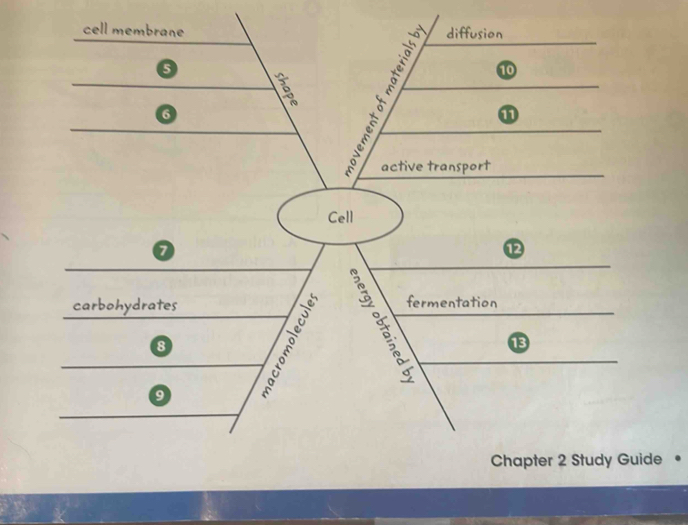 Chapter 2 Study Guide