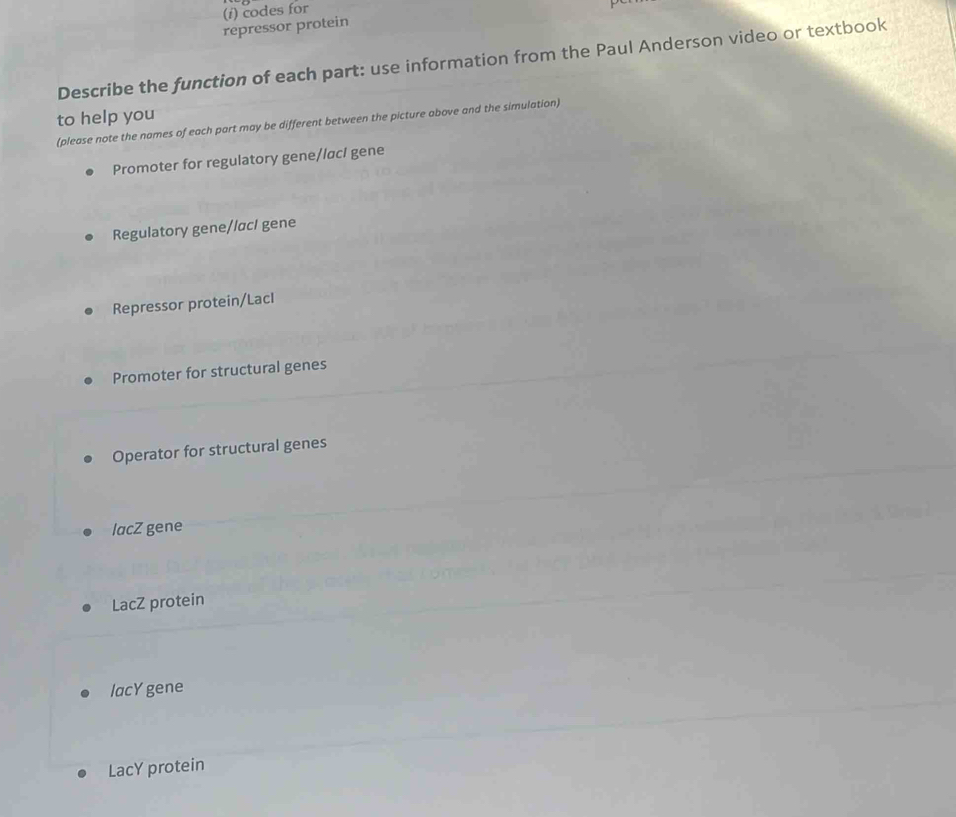 (/) codes for
repressor protein
Describe the function of each part: use information from the Paul Anderson video or textbook
to help you
(please note the names of each part may be different between the picture above and the simulation)
Promoter for regulatory gene//acI gene
Regulatory gene//acI gene
Repressor protein/LacI
Promoter for structural genes
Operator for structural genes
lacZ gene
LacZ protein
lacY gene
LacY protein