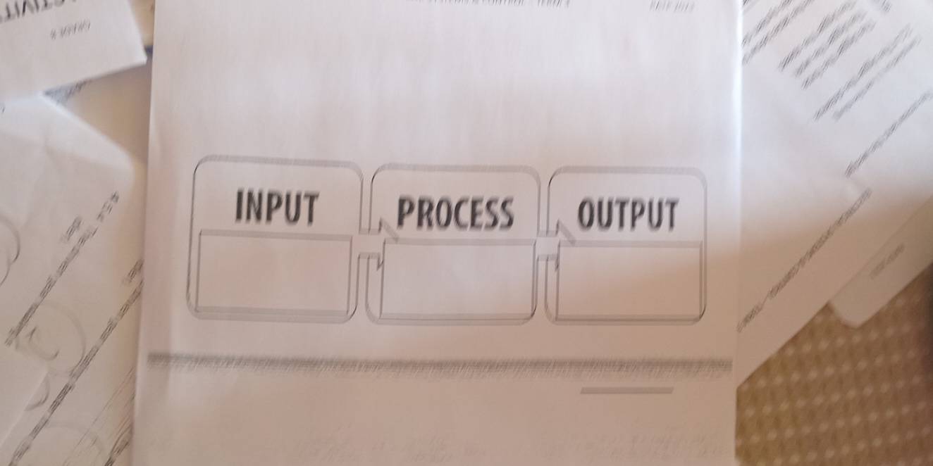 INPUT PROCESS OUTPUT