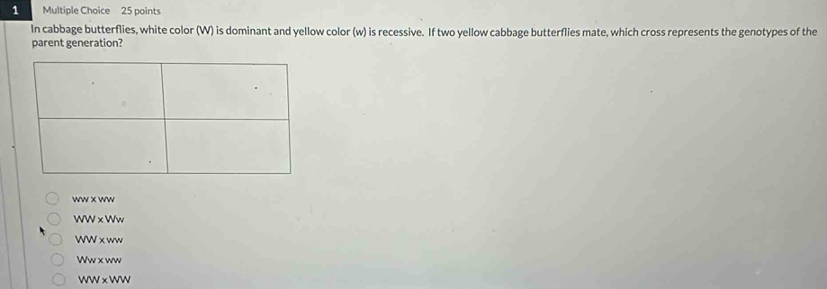 In cabbage butterflies, white color (W) is dominant and yellow color (w) is recessive. If two yellow cabbage butterflies mate, which cross represents the genotypes of the
parent generation?
ww* ww
WW* Ww
WW* ww
Ww* ww
WW* WW