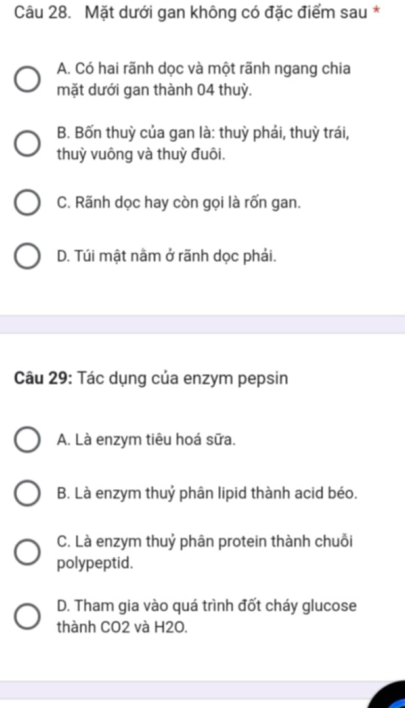 Mặt dưới gan không có đặc điểm sau *
A. Có hai rãnh dọc và một rãnh ngang chia
mặt dưới gan thành 04 thuỳ.
B. Bốn thuỳ của gan là: thuỳ phải, thuỳ trái,
thuỳ vuông và thuỳ đuôi.
C. Rãnh dọc hay còn gọi là rốn gan.
D. Túi mật nằm ở rãnh dọc phải.
Câu 29: Tác dụng của enzym pepsin
A. Là enzym tiêu hoá sữa.
B. Là enzym thuỷ phân lipid thành acid béo.
C. Là enzym thuỷ phân protein thành chuỗi
polypeptid.
D. Tham gia vào quá trình đốt cháy glucose
thành CO2 và H2O.