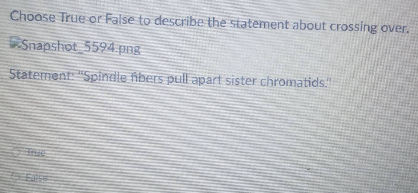 Choose True or False to describe the statement about crossing over.
Snapshot_5594.png
Statement: ''Spindle fibers pull apart sister chromatids."
True
False