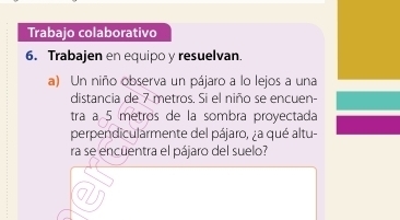 Trabajo colaborativo 
6. Trabajen en equipo y resuelvan. 
a) Un niño observa un pájaro a lo lejos a una 
distancia de 7 metros. Si el niño se encuen- 
tra a 5 metros de la sombra proyectada 
perpendicularmente del pájaro, ¿a qué altu- 
ra se encuentra el pájaro del suelo?