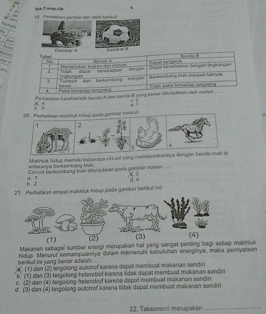 9e,
ipa.7.smp.clp
6
b p
pe 19. Perhatikan gambar dan tabel berikut!
pen
Perhatik
N
Bert
Term
Gambar A GambarB
Nilainy Tabel Benda B
İkür n No. Benda A
1. Memerlukan makan dan minum Dapat bergerak
ang 2. Tidak dapat beradaptasi dengan Dapat beradaptasi dengan lingkungan
lingkungan
3. Tumbuh dan berkembang menjadi Berkembang biak menjadi banyak
besar
4. Peka terhadap rangsan Tidak peka terhadap rangsang
Perbedaan karakteristik benda A dan benda B yang benar ditunjukkan oleh nomor ....
c. 2
a 4
d. 1
b. 3
20. Perhatikan makhluk hidup pada gambar berikut!
2
2
3
4
Makhluk hidup memilki beberapa ciri-ciri yang membedakannya dengan benda mati di
antaranya berkembang biak.
Ciri-ciri berkembang biak ditunjukkan pada gambàr nomor ....
c 3
a. 1
b. 2 d. 4
21. Perhatikan empat makhluk hidup pada gambar berikut ini!
Makanan sebagai sumber energi merupakan hal yang sangat penting bagi setiap makhluk
hidup. Menurut kemampuannya dalam memenuhi kebutuhan energinya, maka pernyataan
berikut ini yang benar adalah....
a. (1) dan (2) tergolong autotrof karena dapat membuat makanan sendiri
b. (1) dan (3) tergolong heterotrof karena tidak dapat membuat makanan sendiri
c. (2) dan (4) tergolong heterotrof karena dapat membuat makanan sendiri
d. (3) dan (4) tergolong autotrof karena tidak dapat membuat makanan sendiri
22. Taksonomi merupakan_