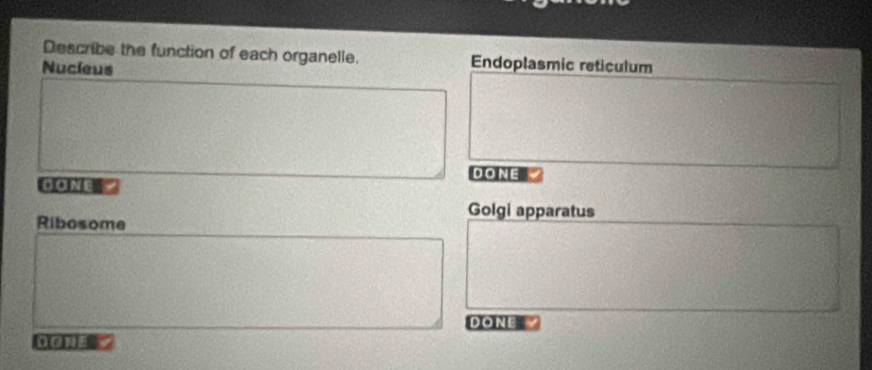 Describe the function of each organelle. Endoplasmic reticulum 
Nucieus 
DONE 
DONE " 
Golgi apparatus 
Ribosome 
DONE 
Done