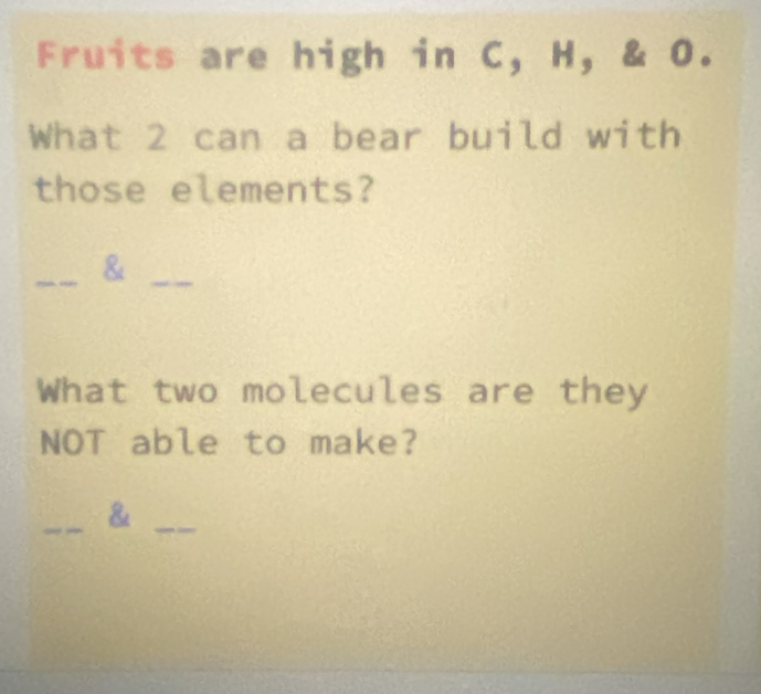 Fruits are high in C, H, & O. 
What 2 can a bear build with 
those elements? 
__& 
What two molecules are they 
NOT able to make? 
__&