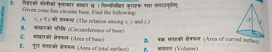 दिइएको सोलीको वृत्ताकार आधार छ। निम्नलिखित कराहरू पत्ता लगाउनुहोस:
Given cone has circular base. Find the following:
5 A. x, y र z को सम्बन्ध (The relation among x, y and z.)
B. आधारको परिध (Circumference of base)
C. आधारको क्षेत्रफल (Area of base) D. वक्र सतहको क्षेत्रफल (Area of curved surface)
E. पूरा सतहको क्षेत्रफल (Area of total surface) F. आयतन (Volume)