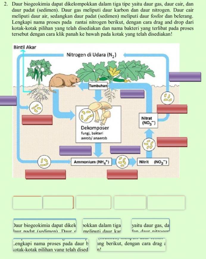 Daur biogeokimia dapat dikelompokkan dalam tiga tipe yaitu daur gas, daur cair, dan
daur padat (sedimen). Daur gas meliputi daur karbon dan daur nitrogen. Daur cair
meliputi daur air, sedangkan daur padat (sedimen) meliputi daur fosfor dan belerang.
Lengkapi nama proses pada rantai nitrogen berikut, dengan cara drag and drop dari
kotak-kotak pilihan yang telah disediakan dan nama bakteri yang terlibat pada proses
tersebut dengan cara klik panah ke bawah pada kotak yang telah disediakan!
Daur biogeokimia dapat dikek bokkan dalam tiga yaitu daur gas, da
laur nadat (sedimen) Daur c melinuti daur kar   d d e ur n itroger 
Lengkapi nama proses pada daur b ang berikut, dengan cara drag a
kotak-kotak pilihan vang telah dised n!