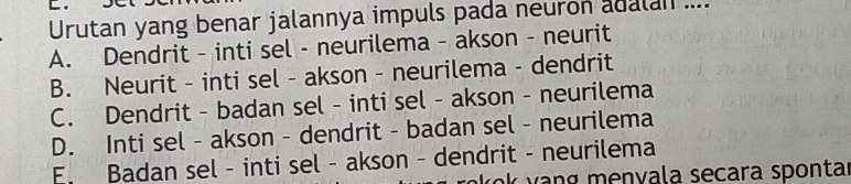 Urutan yang benar jalannya impuls pada neuron adalan ....
A. Dendrit - inti sel - neurilema - akson - neurit
B. Neurit - inti sel - akson - neurilema - dendrit
C. Dendrit - badan sel - inti sel - akson - neurilema
D. Inti sel - akson - dendrit - badan sel - neurilema
E. Badan sel - inti sel - akson - dendrit - neurilema
kok vang menvala secara sponta