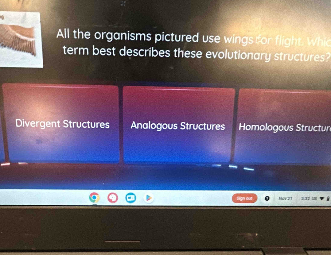 All the organisms pictured use wings for flight. Whic
term best describes these evolutionary structures?
Divergent Structures Analogous Structures Homologous Structur
Sign out Nov 21 3:32 US