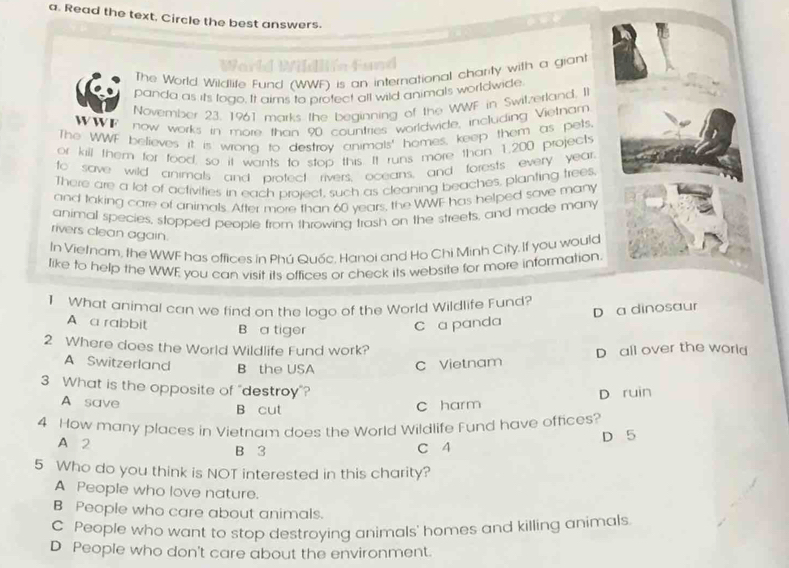 Read the text. Circle the best answers.
World Wildliín Fund
The World Wildlife Fund (WWF) is an international charity with a giant
panda as its togo. It aims to profect all wild animals worldwide.
November 23, 1961 marks the beginning of the WWF in Swilzerland, Il
W W F now works in more than 90 countries worldwide, including Vietnam
The WWF believes it is wrong to destroy animals' homes, keep them as pets
or kill them for food, so it wants to stop this. It runs more than 1,200 projects
to save wild animals and profect rivers, oceans, and forests every year
There are a lot of activities in each project, such as cleaning beaches, planting trees.
and taking care of animals. After more than 60 years, the WWF has helped save many
animal species, stopped people from throwing trash on the streets, and made many
rivers clean again.
In Vietnam, the WWF has offices in Phú Quốc, Hanoi and Ho Chi Minh City. If you would
like to help the WWE you can visit its offices or check its website for more information.
1 What animal can we find on the logo of the World Wildlife Fund?
A a rabbit B a tiger
C a panda D a dinosaur
2 Where does the World Wildlife Fund work?
A Switzerland B the USA C Vietnam D all over the world
3 What is the opposite of “destroy”?
A save B cut
c harm D ruin
4 How many places in Vietnam does the World Wildlife Fund have offices?
A 2 B 3 C 4 D 5
5 Who do you think is NOT interested in this charity?
A People who love nature.
B People who care about animals.
C People who want to stop destroying animals' homes and killing animals
D People who don't care about the environment.
