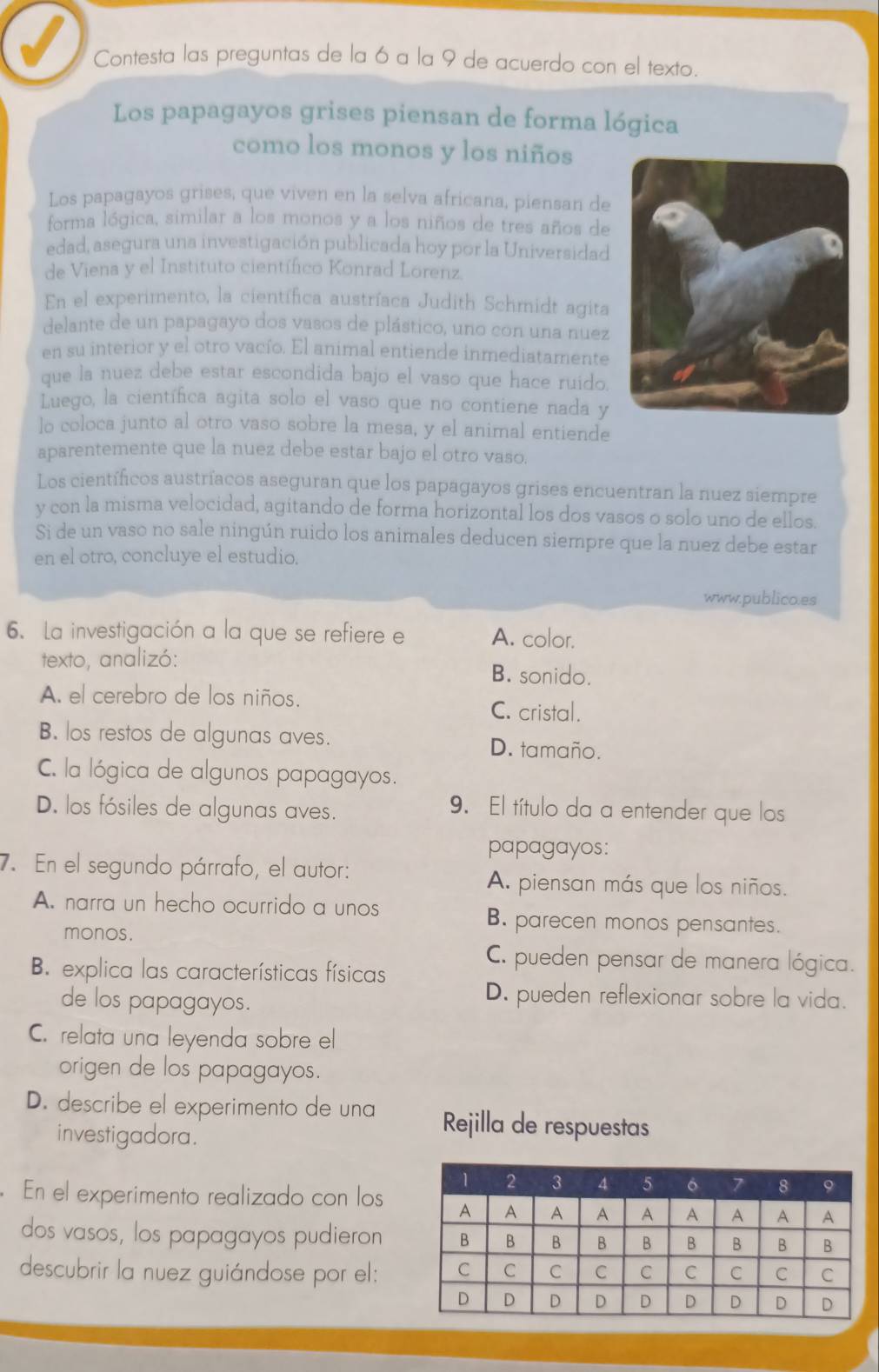 Contesta las preguntas de la 6 a la 9 de acuerdo con el texto.
Los papagayos grises piensan de forma lógica
como los monos y los niños
Los papagayos grises, que viven en la selva africana, piensan de
forma lógica, similar a los monos y a los niños de tres años de
edad, asegura una investigación publicada hoy por la Universidad
de Viena y el Instituto científico Konrad Lorenz.
En el experimento, la científica austríaca Judith Schmidt agita
delante de un papagayo dos vasos de plástico, uno con una nuez
en su interior y el otro vacío. El animal entiende inmediatamente
que la nuez debe estar escondida bajo el vaso que hace ruido.
Luego, la científica agita solo el vaso que no contiene nada y
lo coloca junto al otro vaso sobre la mesa, y el animal entiende
aparentemente que la nuez debe estar bajo el otro vaso.
Los científicos austríacos aseguran que los papagayos grises encuentran la nuez siempre
y con la misma velocidad, agitando de forma horizontal los dos vasos o solo uno de ellos.
Si de un vaso no sale ningún ruido los animales deducen siempre que la nuez debe estar
en el otro, concluye el estudio.
www.publica.es
6. La investigación a la que se refiere e A. color.
texto, analizó: B. sonido.
A. el cerebro de los niños.
C. cristal.
B. los restos de algunas aves. D. tamaño.
C. la lógica de algunos papagayos.
D. los fósiles de algunas aves.
9. El título da a entender que los
papagayos:
7. En el segundo párrafo, el autor:
A. piensan más que los niños.
A. narra un hecho ocurrido a unos
monos.
B. parecen monos pensantes.
C. pueden pensar de manera lógica.
B. explica las características físicas
de los papagayos.
D. pueden reflexionar sobre la vida.
C. relata una leyenda sobre el
origen de los papagayos.
D. describe el experimento de una Rejilla de respuestas
investigadora.
En el experimento realizado con los
dos vasos, los papagayos pudieron
descubrir la nuez guiándose por el: