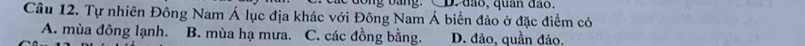 lo ng bằng. CD. đào, quan đào.
Câu 12. Tự nhiên Đông Nam Á lục địa khác với Đông Nam Á biển đảo ở đặc điểm có
A. mùa đông lạnh. B. mùa hạ mưa. C. các đồng bằng. D. đảo, quần đảo.