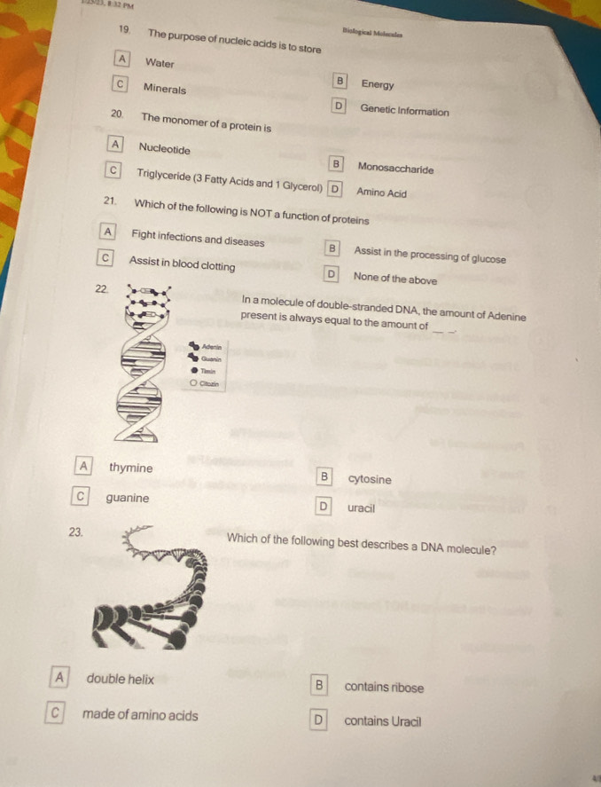 1523, B:32 PM
Biological Molucules
19. The purpose of nucleic acids is to store
A Water B Energy
C Minerals
D Genetic Information
20. The monomer of a protein is
A Nucleotide B Monosaccharide
C Triglyceride (3 Fatty Acids and 1 Glycerol) D Amino Acid
21. Which of the following is NOT a function of proteins
A Fight infections and diseases B Assist in the processing of glucose
C Assist in blood clotting D None of the above
2
In a molecule of double-stranded DNA, the amount of Adenine
present is always equal to the amount of
_
A thymine cytosine
B
C guanine D uracil
23 Which of the following best describes a DNA molecule?
A double helix B contains ribose
C made of amino acids D₹ contains Uracil