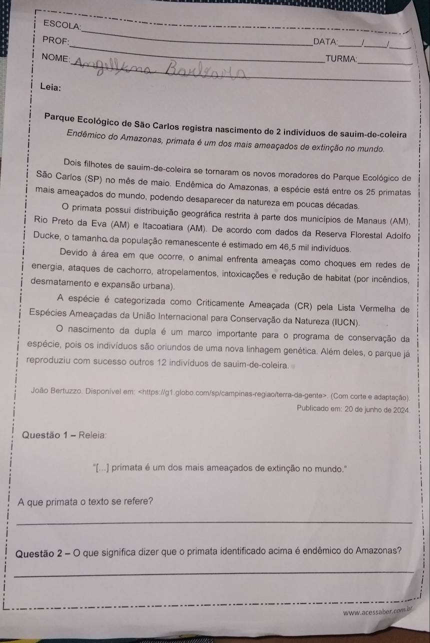 ESCOLA:
_
__
_
PROF: DATA:
_
NOME: TURMA
_
Leia:
Parque Ecológico de São Carlos registra nascimento de 2 indivíduos de sauim-de-coleira
Endêmico do Amazonas, primata é um dos mais ameaçados de extinção no mundo.
Dois filhotes de sauim-de-coleira se tornaram os novos moradores do Parque Ecológico de
São Carlos (SP) no mês de maio. Endêmica do Amazonas, a espécie está entre os 25 primatas
mais ameaçados do mundo, podendo desaparecer da natureza em poucas décadas.
O primata possui distribuição geográfica restrita à parte dos municípios de Manaus (AM).
Rio Preto da Eva (AM) e Itacoatiara (AM). De acordo com dados da Reserva Florestal Adolfo
Ducke, o tamanho da população remanescente é estimado em 46,5 mil indivíduos.
Devido à área em que ocorre, o animal enfrenta ameaças como choques em redes de
energia, ataques de cachorro, atropelamentos, intoxicações e redução de habitat (por incêndios,
desmatamento e expansão urbana).
A espécie é categorizada como Criticamente Ameaçada (CR) pela Lista Vermelha de
Espécies Ameaçadas da União Internacional para Conservação da Natureza (IUCN).
O nascimento da dupla é um marco importante para o programa de conservação da
espécie, pois os indivíduos são oriundos de uma nova linhagem genética. Além deles, o parque já
reproduziu com sucesso outros 12 indivíduos de sauim-de-coleira.
João Bertuzzo. Disponível em:. (Com corte e adaptação)
Publicado em: 20 de junho de 2024
Questão 1 - Releia:
"[...] primata é um dos mais ameaçados de extinção no mundo."
A que primata o texto se refere?
_
Questão 2 - O que significa dizer que o primata identificado acima é endêmico do Amazonas?
_
www.acessaber.com.br