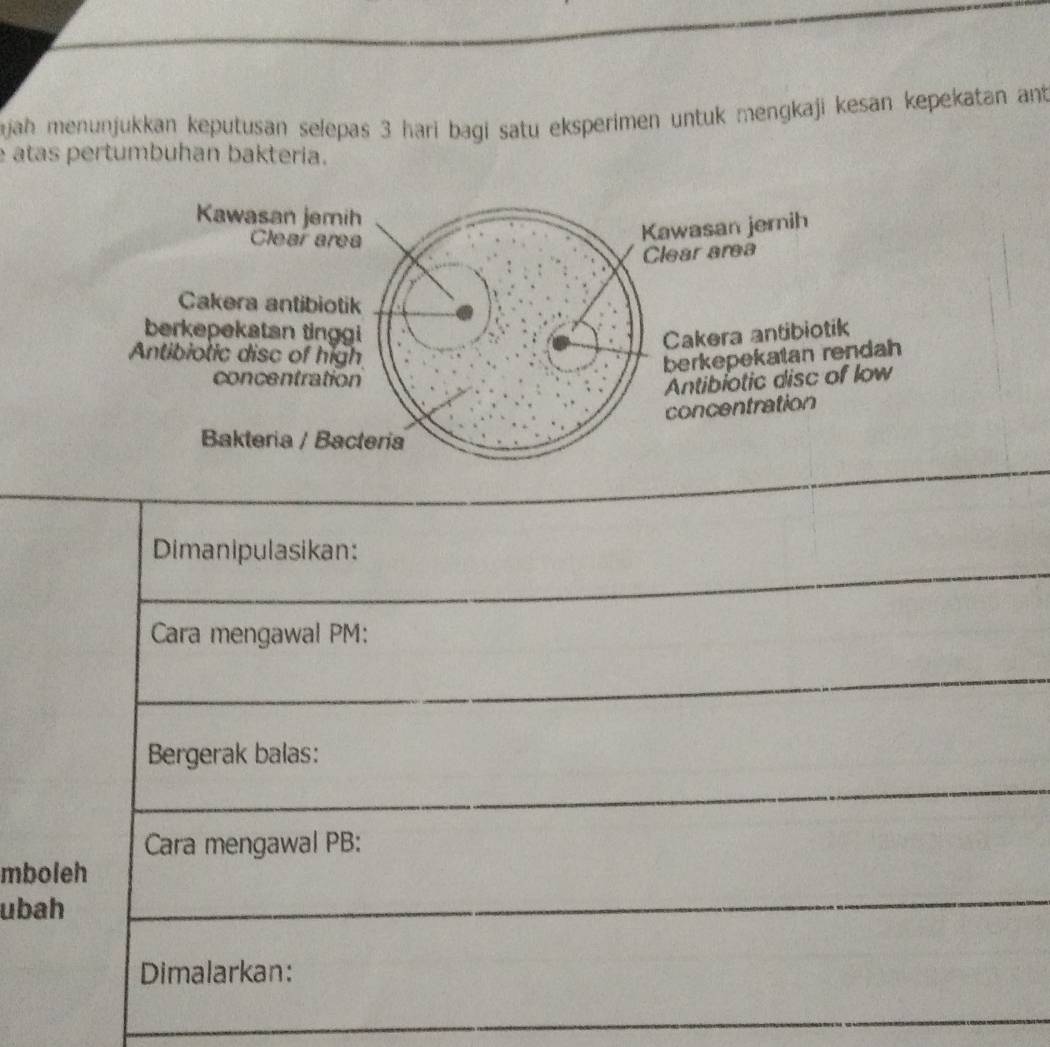 jah menunjukkan keputusan selepas 3 hari bagi satu eksperimen untuk mengkaji kesan kepekatan ant
atas pertumbuhan bakteria.
Kawasan jemih
Clear area
Kawasan jernih
Clear area
Cakera antibiotik
berkepekatan tinggi Cakera antibiotik
Antibiolic disc of high
berkepekatan rendah
concentration
Antibiotic disc of low
concentration
Bakteria / Bacteria
Dimanipulasikan:
Cara mengawal PM:
Bergerak balas:
Cara mengawal PB:
mboleh
ubah
Dimalarkan: