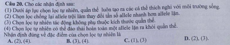 Cho các nhận định sau:
(1) Dưới áp lực chọn lọc tự nhiên, quần thể luôn tạo ra các cá thể thích nghi với môi trường sống.
(2) Chọn lọc chống lại allele trội làm thay đổi tần số allele nhanh hơn allele lặn.
(3) Chọn lọc tự nhiên tác động không phụ thuộc kích thước quần thể.
(4) Chọn lọc tự nhiên có thể đào thải hoàn toàn một allele lặn ra khỏi quần thể.
Nhận định đúng về đặc điểm của chọn lọc tự nhiên là
A. (2), (4). B. (3), (4). C. (1), (3)
D. (2), (3).