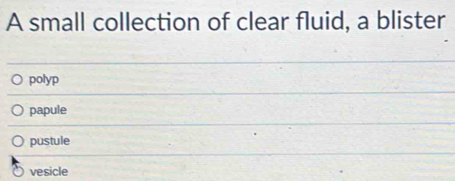 A small collection of clear fluid, a blister
polyp
papule
pustule
vesicle