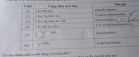 Có bao nhiêu chất có tên đ tổ chuyền hoá sau: