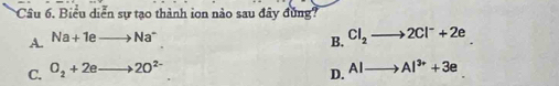 Biểu diễn sự tạo thành ion nào sau đây đủng
A. Na+1eto Na^+
B. Cl_2 2Cl^-+2e
C. O_2+2eto 2O^(2-)
D. AIto Al^(3+)+3e