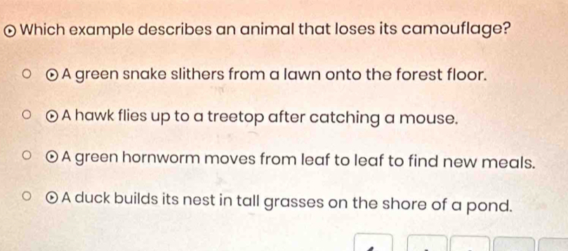 Which example describes an animal that loses its camouflage?
A green snake slithers from a lawn onto the forest floor.
A hawk flies up to a treetop after catching a mouse.
A green hornworm moves from leaf to leaf to find new meals.
A duck builds its nest in tall grasses on the shore of a pond.