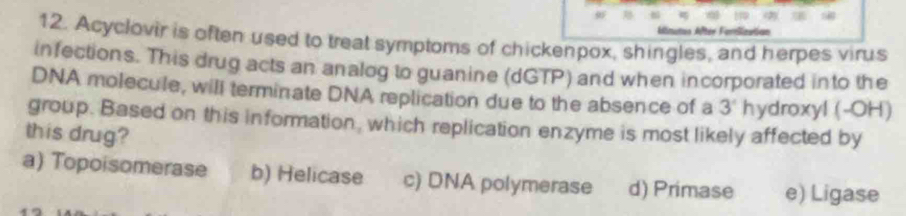 Acyclovir is often used to treat symptoms of chickenpox, shingles, and herpes virus
infections. This drug acts an analog to guanine (dGTP) and when incorporated into the
DNA molecule, will terminate DNA replication due to the absence of a 3° hydroxyl (-OH)
group. Based on this information, which replication enzyme is most likely affected by
this drug?
a) Topoisomerase b) Helicase c) DNA polymerase d) Primase e) Ligase