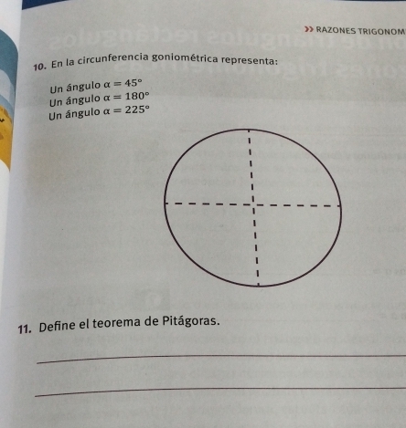 》 RAZONES TRIGONOM
10. En la circunferencia goniométrica representa:
Un ángulo alpha =45°
Un ángulo alpha =180°
Un ángulo alpha =225°
11. Define el teorema de Pitágoras.
_
_