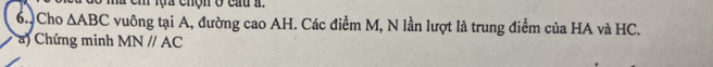 em lựa chộn ở cau a. 
6.Cho △ ABC vuông tại A, đường cao AH. Các điểm M, N lần lượt là trung điểm của HA và HC. 
a) Chứng minh MNparallel AC