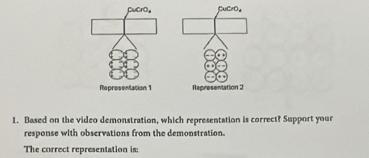 Based on the video demonstration, which representation is correct? Support your
response with observations from the demonstration.
The correct representation is: