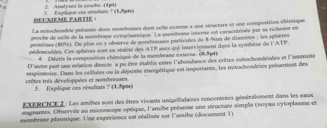 aí 2. Analysez la courbe. (1pt) 
3. Expljque ces résultats ? (1,5pts) 
DEUXIEME PARTIE : 
La mitochondrie présente deux membranes dont celle externe a une structure et une composition chimique 
proche de celle de la membrane cytoplasmique. La membrane interne est caractérisée par sa richesse en 
protéines (80%). De plus on y observe de nombreuses particules de 8-9nm de diamètre ; les sphères 
pédonculées. Ces sphères sont en réalité des ATP ases qui interviennent dans la synthèse de l'ATP. 
4. Décris la composition chimique de la membrane externe. (0.5pt) 
D Tautre part une relation directe a pu être établie entre l'abondance des crêtes mitochondriales et l'intensité 
respiratoire. Dans les cellules ou la dépense énergétique est importante, les mitochondries présentent des 
crêtes très développées et nombreuses. 
5. Explique ces résultats ? (1.5pts) 
EXERCICE 2 : Les amibes sont des êtres vivants unicellulaires rencontrées généralement dans les eaux 
stagnantes. Obseryée au microscope optique, l'amibe présente une structure simple (noyau cytoplasme et 
membrane plasmique. Une expérience est réalisée sur l'amibe (document 1)