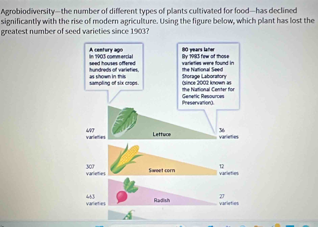 Agrobiodiversity—the number of different types of plants cultivated for food—has declined 
significantly with the rise of modern agriculture. Using the figure below, which plant has lost the 
greatest number of seed varieties since 1903?