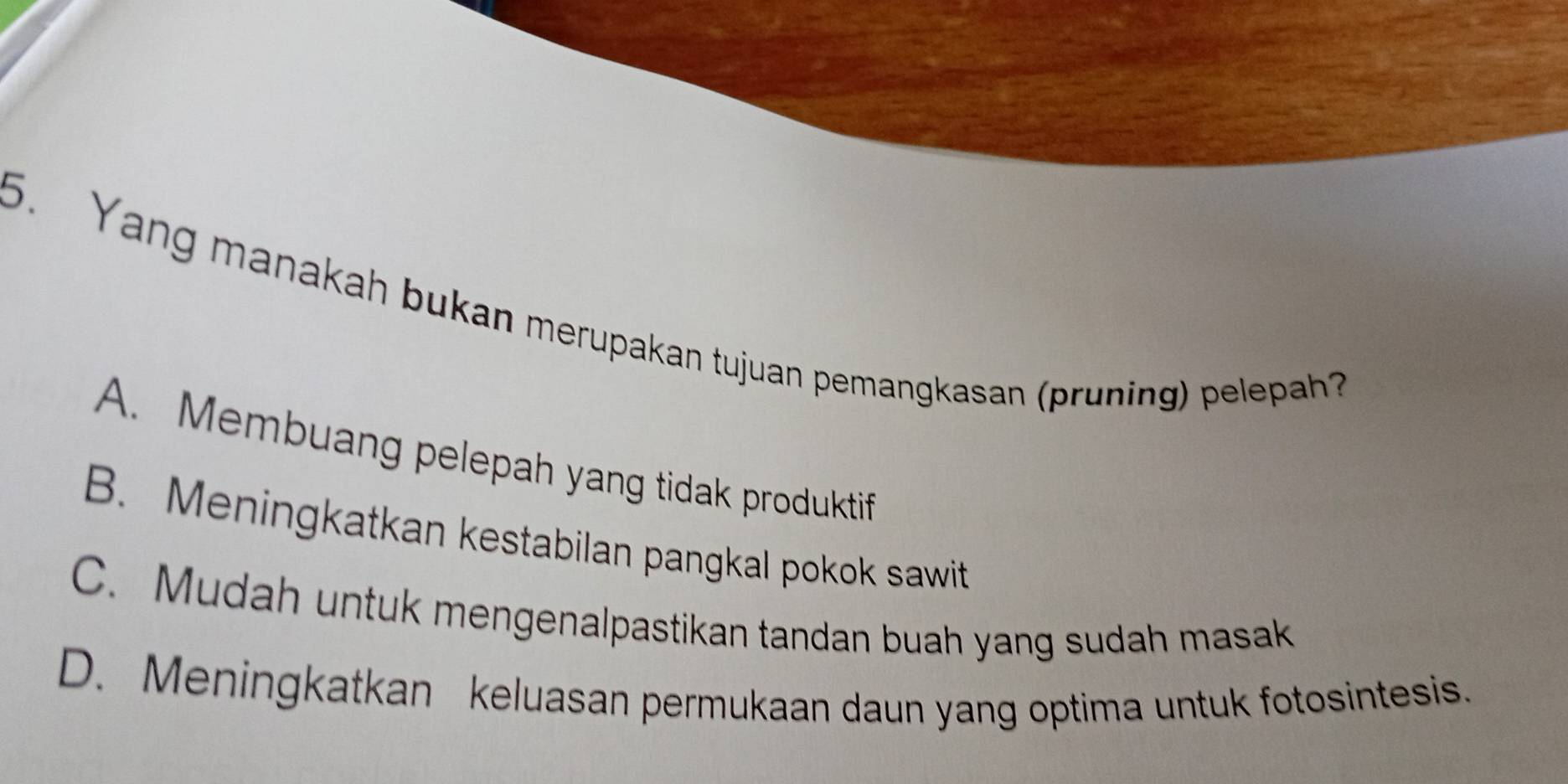 Yang manakah bukan merupakan tujuan pemangkasan (pruning) pelepah?
A. Membuang pelepah yang tidak produktif
B. Meningkatkan kestabilan pangkal pokok sawit
C. Mudah untuk mengenalpastikan tandan buah yang sudah masak
D. Meningkatkan keluasan permukaan daun yang optima untuk fotosintesis.