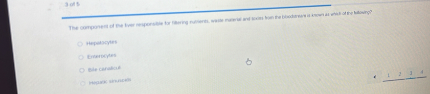 of 5
The component of the liver responsible for filtering nutrients, waste material and toxins from the bloodstream is known as which of the following?
Hepatocytes
Enterocytes
Bile canaliculi
Hepatic sinusoids
1 _ 1,_ 2_ 3, _ 4
