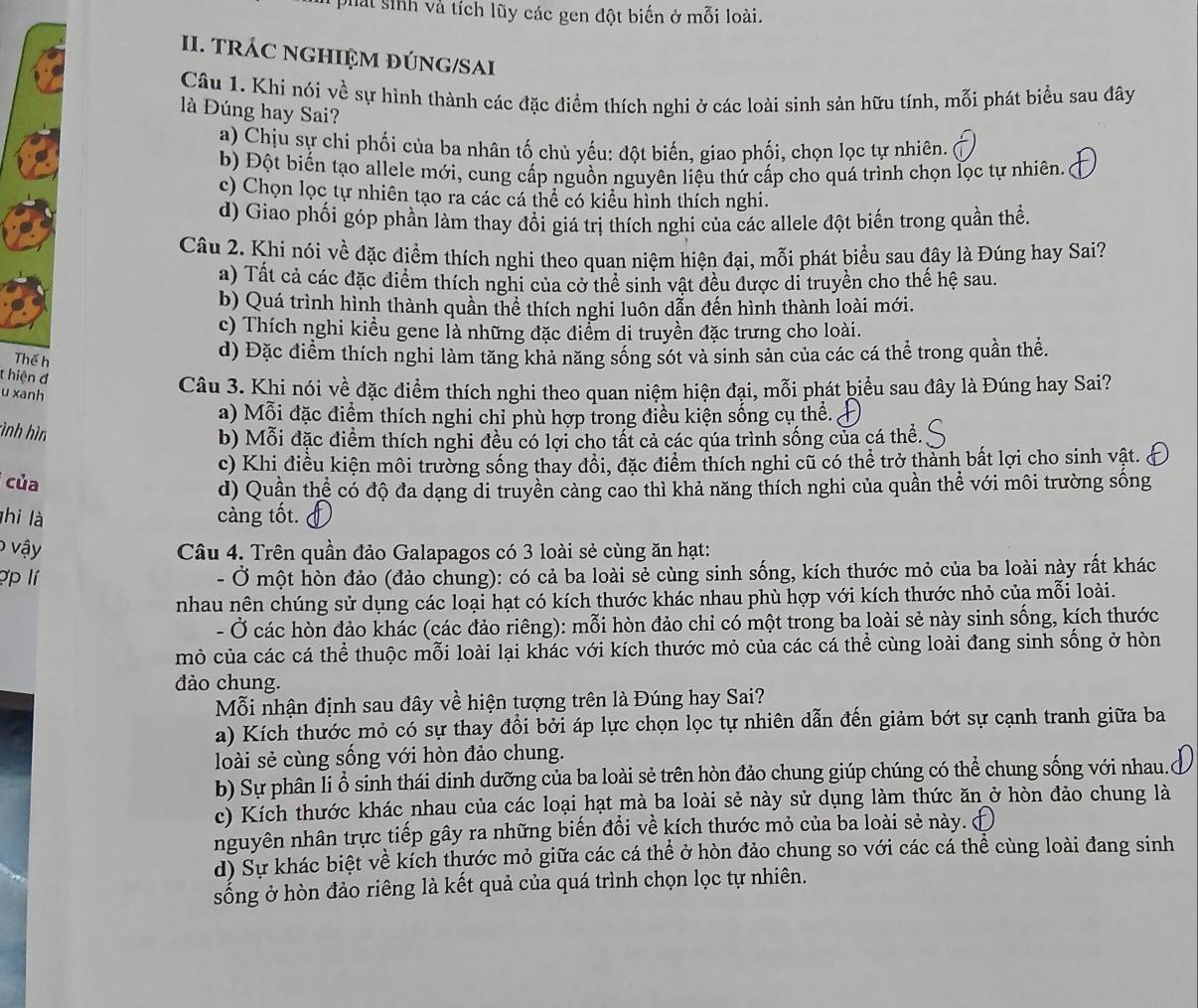phát sinh và tích lũy các gen đột biến ở mỗi loài.
II. TRÁC NGHIỆM ĐÚNG/SAI
Câu 1. Khi nói về sự hình thành các đặc điểm thích nghi ở các loài sinh sản hữu tính, mỗi phát biểu sau đây
là Đúng hay Sai?
a) Chịu sự chi phối của ba nhân tố chủ yếu: đột biến, giao phối, chọn lọc tự nhiên.
b) Đột biến tạo allele mới, cung cấp nguồn nguyên liệu thứ cấp cho quá trình chọn lọc tự nhiên.
c) Chọn lọc tự nhiên tạo ra các cá thể có kiểu hình thích nghi.
d) Giao phối góp phần làm thay đổi giá trị thích nghi của các allele đột biến trong quần thể.
Câu 2. Khi nói về đặc điểm thích nghi theo quan niệm hiện đại, mỗi phát biểu sau đây là Đúng hay Sai?
a) Tất cả các đặc điểm thích nghi của cở thể sinh vật đều được di truyền cho thế hệ sau.
b) Quá trình hình thành quần thể thích nghi luôn dẫn đến hình thành loài mới.
c) Thích nghi kiều gene là những đặc điểm di truyền đặc trưng cho loài.
T
d) Đặc điểm thích nghi làm tăng khả năng sống sót và sinh sản của các cá thể trong quần thể.
t hiện đ
u xanh
Câu 3. Khi nói về đặc điểm thích nghi theo quan niệm hiện đại, mỗi phát biểu sau đây là Đúng hay Sai?
a) Mỗi đặc điểm thích nghi chỉ phù hợp trong điều kiện sống cụ thể.
ình hìn
b) Mỗi đặc điểm thích nghi đều có lợi cho tất cả các qúa trình sống của cá thể.
c) Khi điều kiện môi trường sống thay đồi, đặc điểm thích nghi cũ có thể trở thành bất lợi cho sinh vật.
của
d) Quần thể có độ đa dạng di truyền cảng cao thì khả năng thích nghi của quần thể với môi trường sống
hi là càng tốt. 
0 vậy  Câu 4. Trên quần đảo Galapagos có 3 loài sẻ cùng ăn hạt:
ợp lí  - Ở một hòn đảo (đảo chung): có cả ba loài sẻ cùng sinh sống, kích thước mỏ của ba loài này rất khác
nhau nên chúng sử dụng các loại hạt có kích thước khác nhau phù hợp với kích thước nhỏ của mỗi loài.
- Ở các hòn đảo khác (các đảo riêng): mỗi hòn đảo chi có một trong ba loài sẻ này sinh sống, kích thước
mỏ của các cá thể thuộc mỗi loài lại khác với kích thước mỏ của các cá thể cùng loài đang sinh sống ở hòn
đào chung.
Mỗi nhận định sau đây về hiện tượng trên là Đúng hay Sai?
a) Kích thước mỏ có sự thay đổi bởi áp lực chọn lọc tự nhiên dẫn đến giảm bớt sự cạnh tranh giữa ba
loài sẻ cùng sống với hòn đảo chung.
b) Sự phân li ổ sinh thái dinh dưỡng của ba loài sẻ trên hòn đảo chung giúp chúng có thể chung sống với nhau.
c) Kích thước khác nhau của các loại hạt mà ba loài sẻ này sử dụng làm thức ăn ở hòn đảo chung là
nguyên nhân trực tiếp gây ra những biến đổi về kích thước mỏ của ba loài sẻ này. ở
d) Sự khác biệt về kích thước mỏ giữa các cá thể ở hòn đảo chung so với các cá thể cùng loài đang sinh
sống ở hòn đảo riêng là kết quả của quá trình chọn lọc tự nhiên.