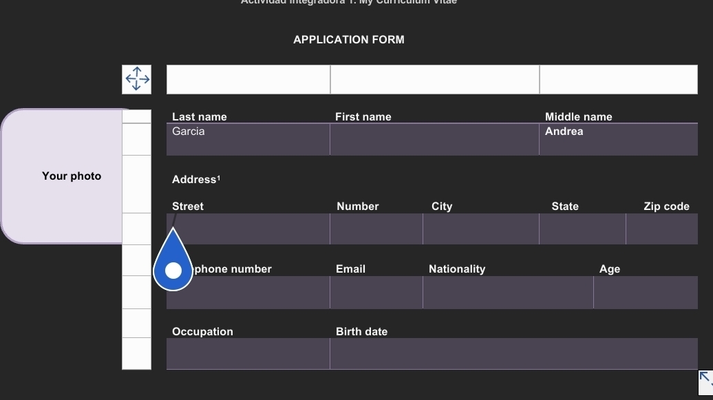 APPLICATION FORM 
Last name First name Middle name 
Garcia Andrea 
Your photo Address1 
Street Number City State Zip code 
phone number Email Nationality Age 
Occupation Birth date