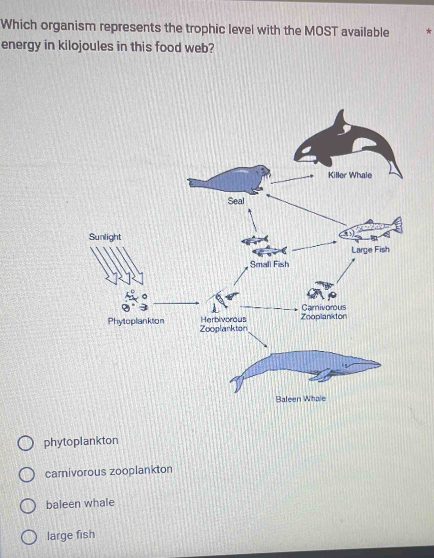 Which organism represents the trophic level with the MOST available
energy in kilojoules in this food web?
phytoplankton
carnivorous zooplankton
baleen whale
large fish